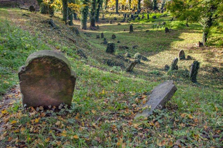 Zdjęcie przedstawiające groby wśród drzew i zieleni